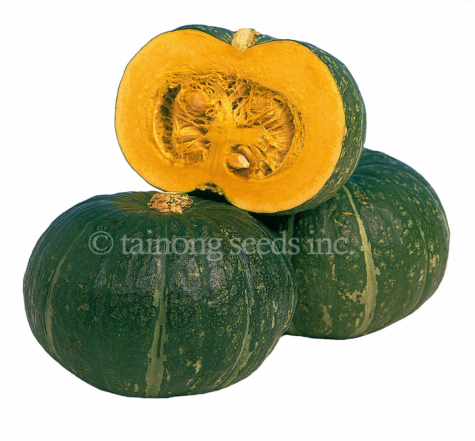 25 Fresh KABOCHA Japanese Pumpkin Squash Seeds very sweet US Grower
