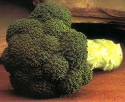 BroccoliMarathon