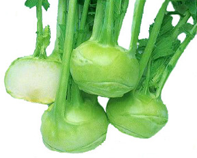 KohlrabiWinner